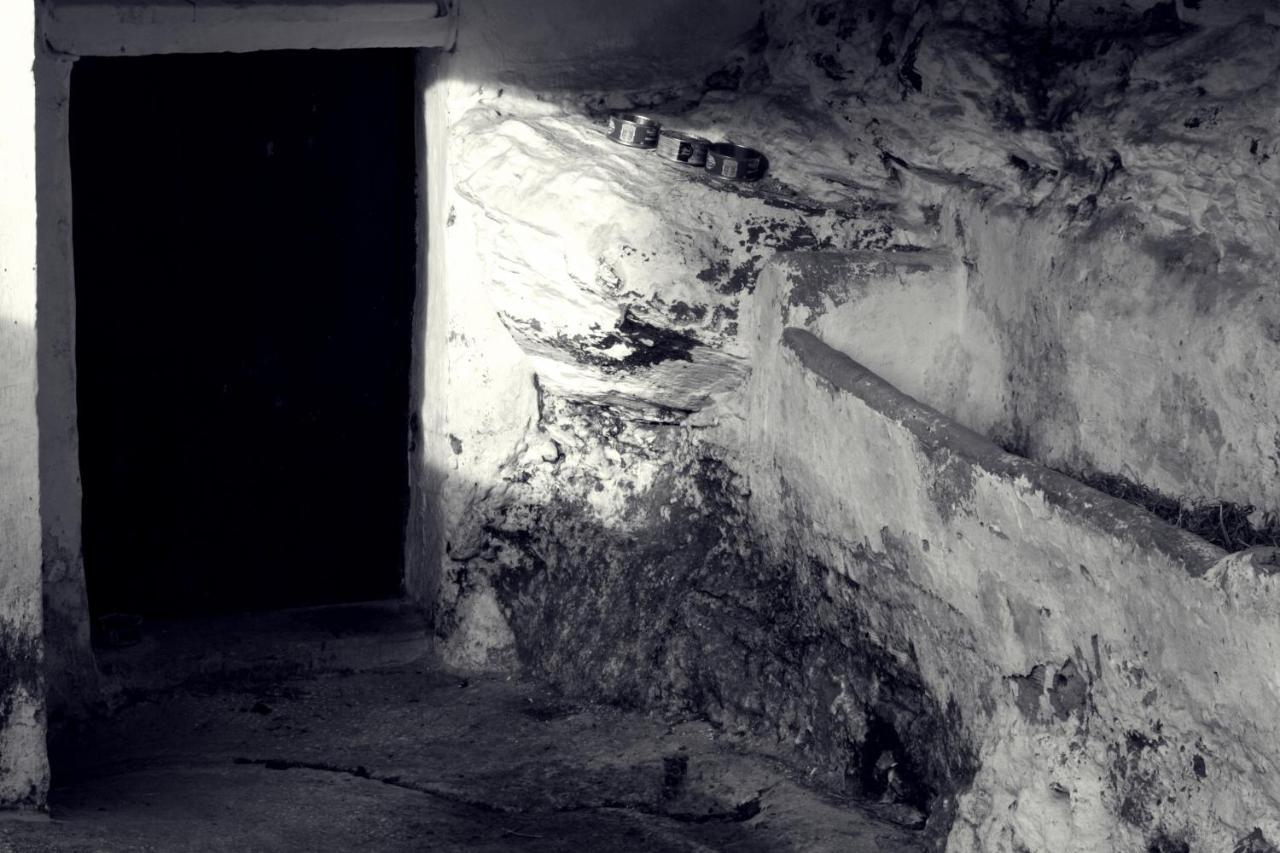 Casa Pepe La Rosa Atico Daire Tolox Dış mekan fotoğraf