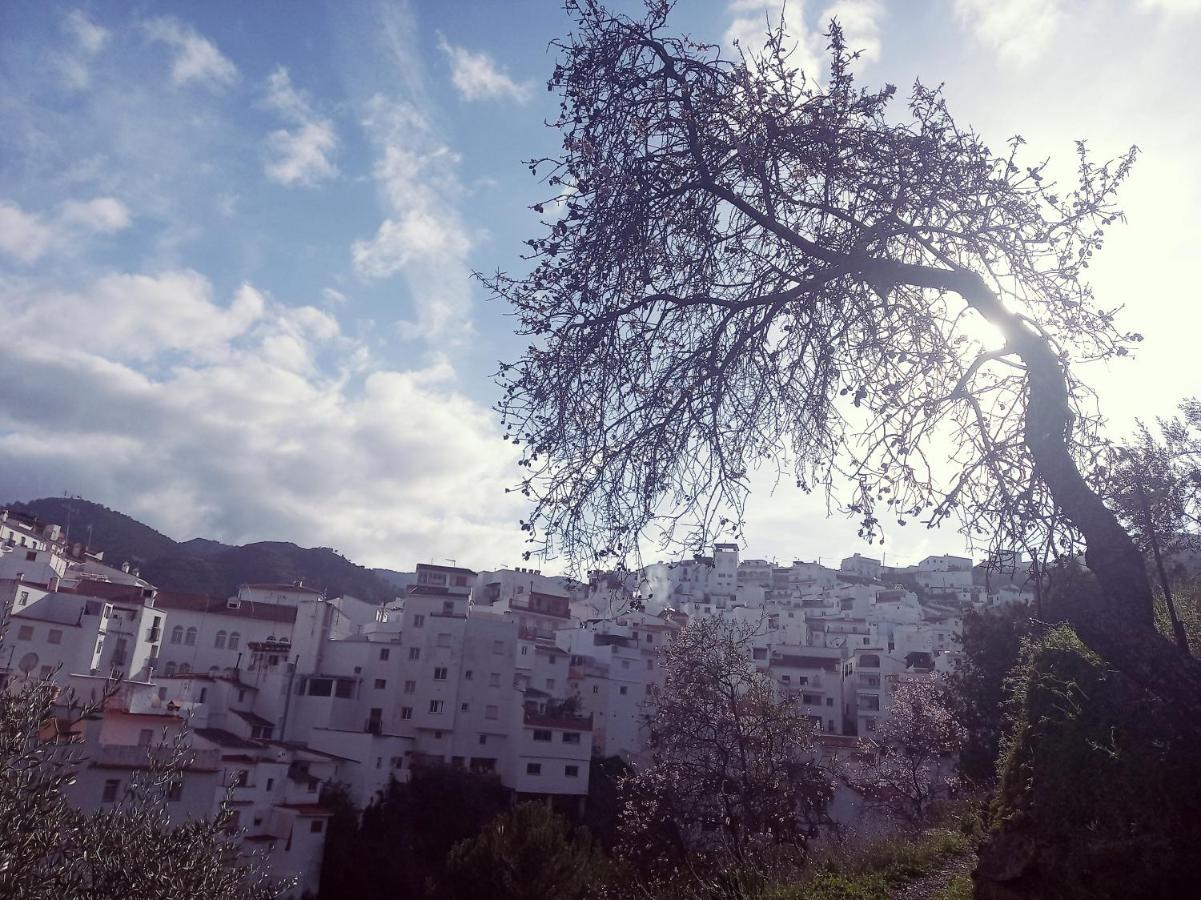 Casa Pepe La Rosa Atico Daire Tolox Dış mekan fotoğraf