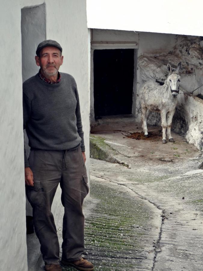 Casa Pepe La Rosa Atico Daire Tolox Dış mekan fotoğraf