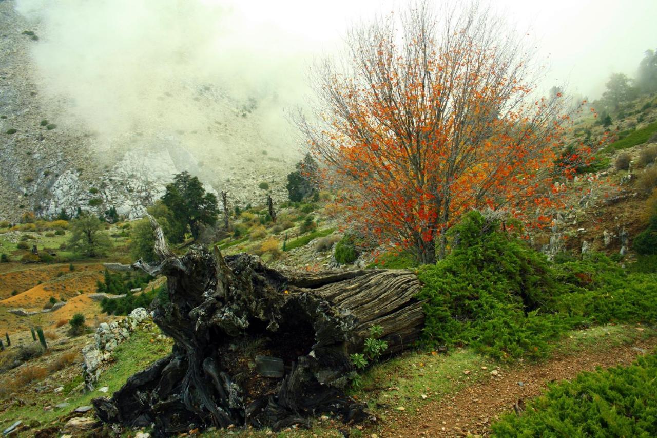 Casa Pepe La Rosa Atico Daire Tolox Dış mekan fotoğraf